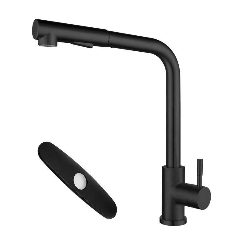 Matte Black 7-Shape Pull-Out Faucet (Dual Spray)