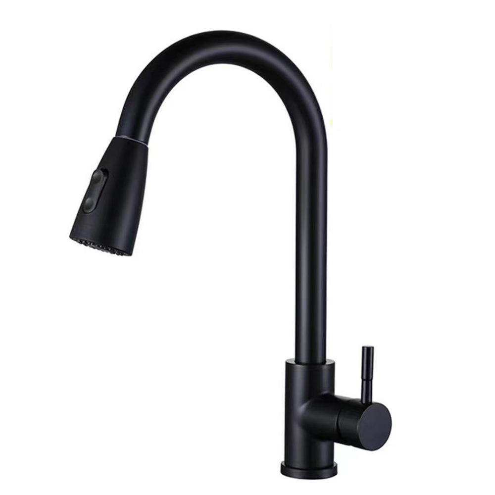 Matte Black Dual Stream Pull-Out Faucet