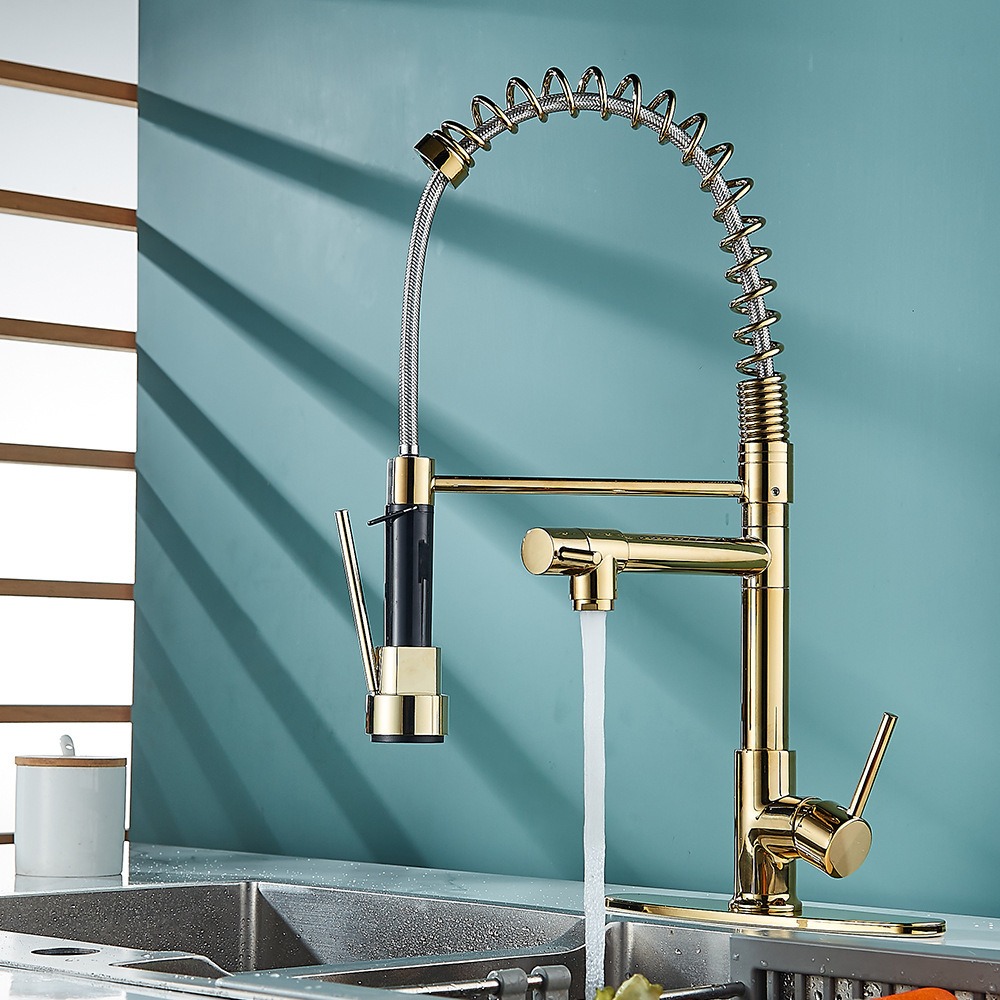 Luxury Gold Dual Spray Spring Kitchen Faucet