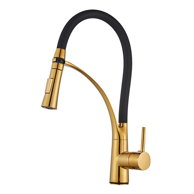 Titanium Gold Body with Flexible Black Tube Faucet